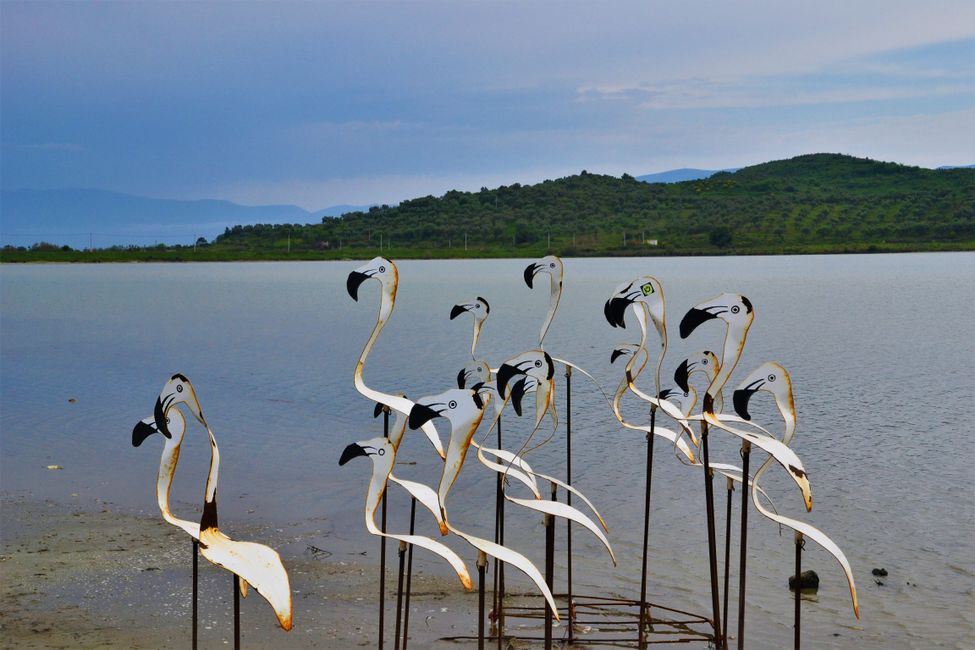 Es gab auch echte Flamingos auf dem See, aber die waren zu weit Weg für ein gutes Foto.