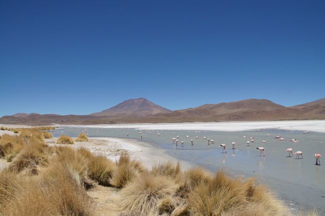 Ji Uyuni heya San Pedro de Atacama