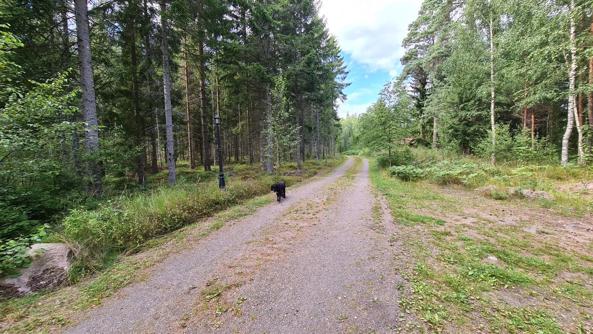 Åråshult Camping - Weg zum/am Wald (beleuchtet)