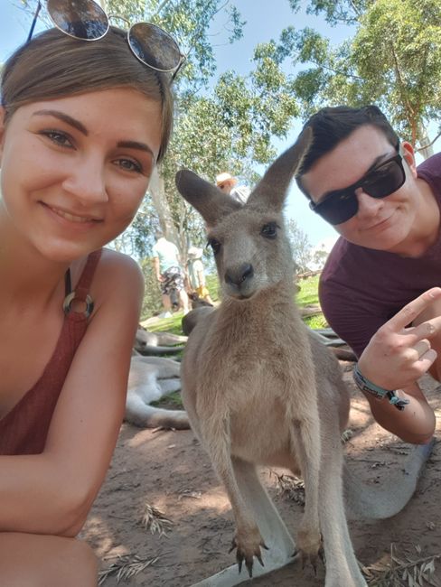 Selfie mit einem Wallaby muss sein ;-)