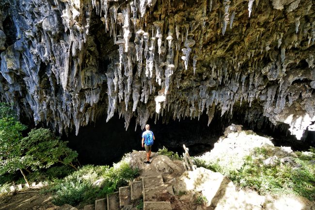 Der Eingang der riesigen Rawhiti Caves