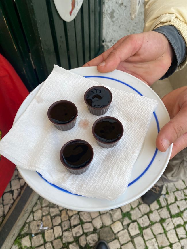 Der erste Tag oder Fado und Wein