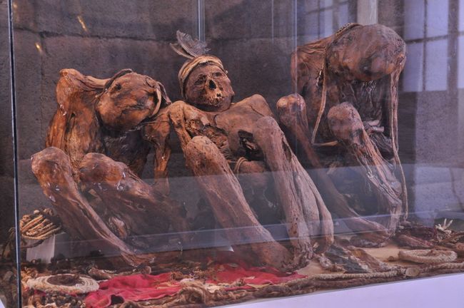 These mummies were once in the phallus graves