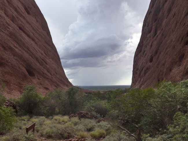 Ayers Rock (Uluru) - Regen in der Wüste (Australien Teil 35)