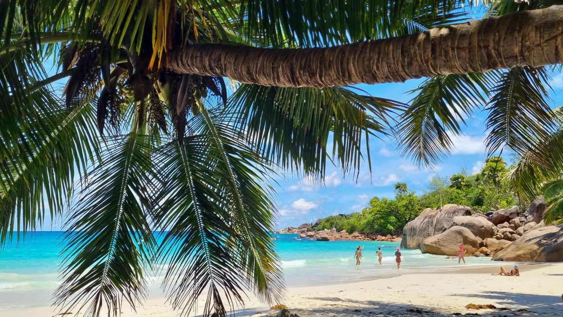 Seychelles 2023 - Part 2: Praslin