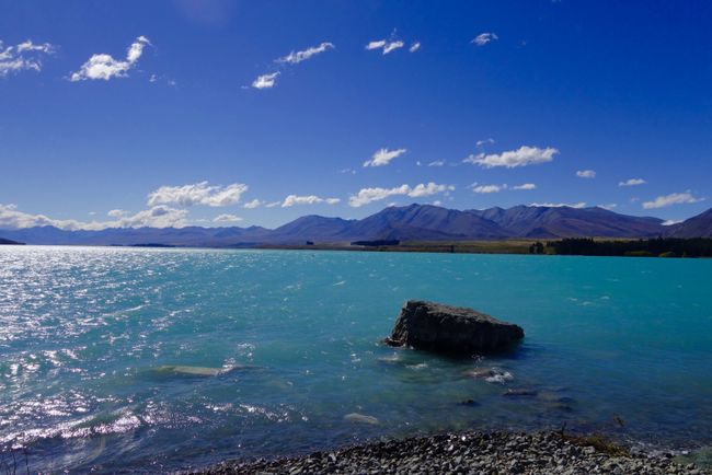 Day 36 to 40: Dunedin, Lake Tekapo and Christchurch