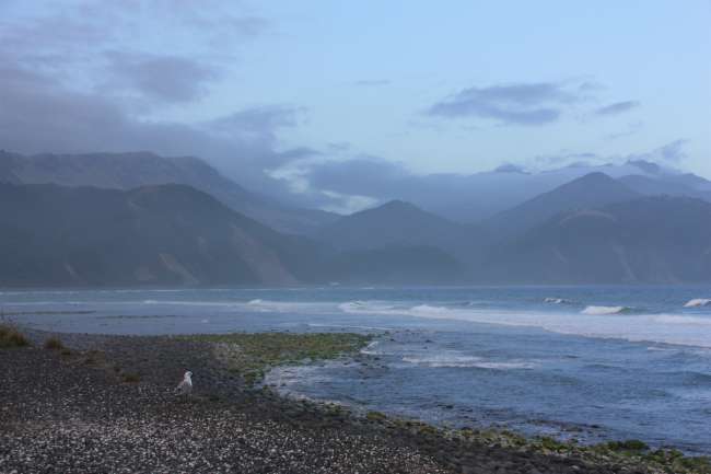 Kaikoura... or the end of the world
