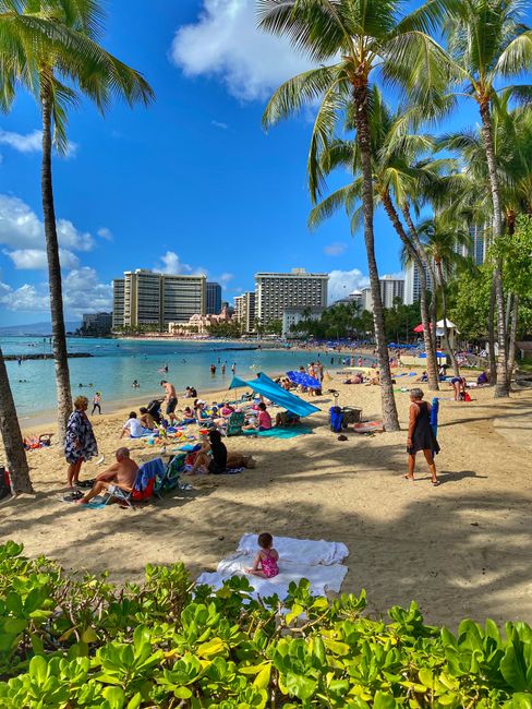 Waikiki Beach 