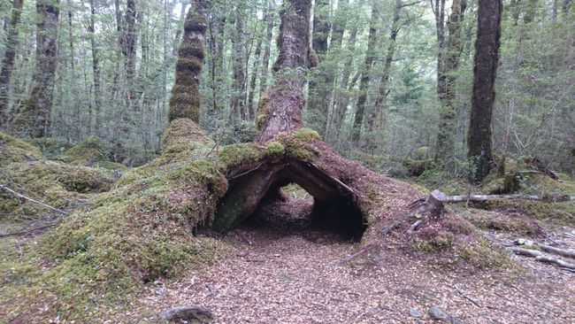 Wanderung auf dem Kepler Track