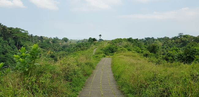 Campuham Ridge Trail