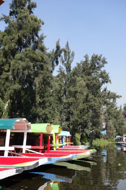 Colorful gondolas at Xochimilco