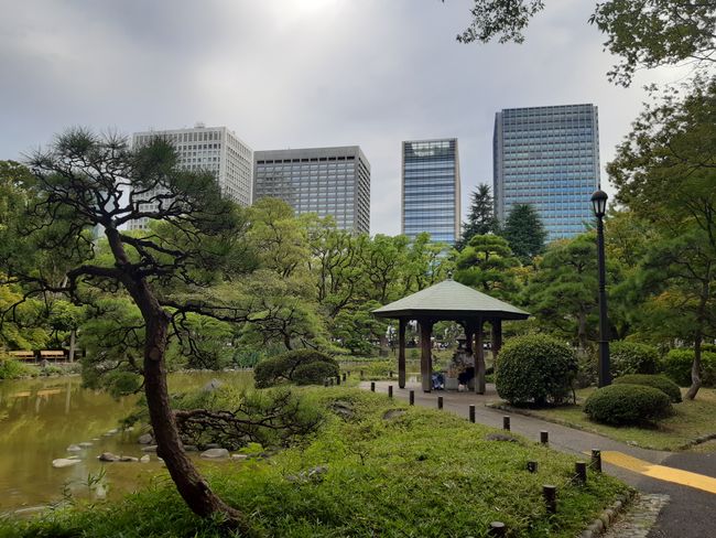 the Hibiya Park in the middle of the business district