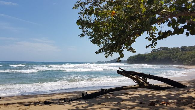 Au Paradis