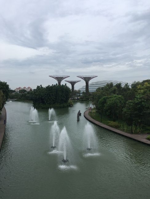 Singapur - eine kleine Oase