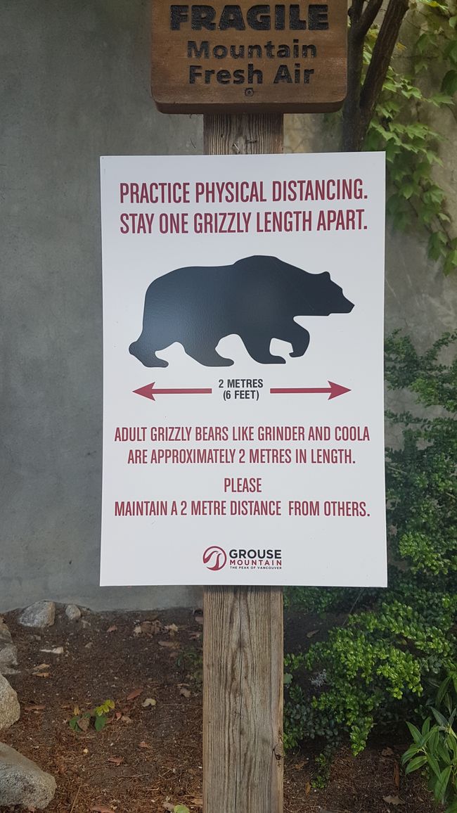 Please keep a grizzly bear distance!
