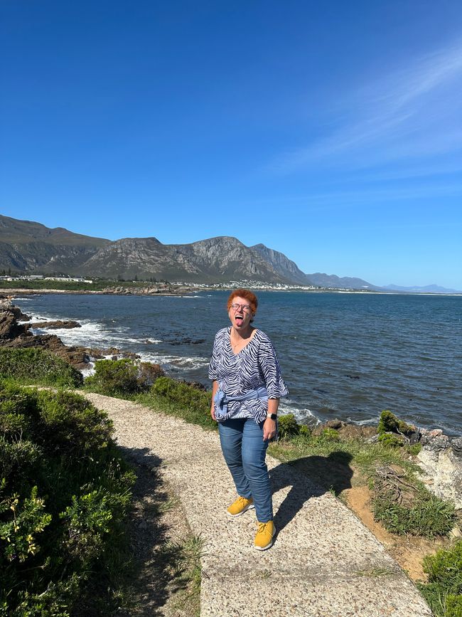 Hermanus ♥️
