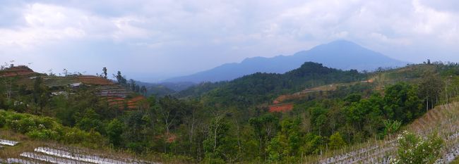 Dieng Plateau (Java Tour 1)