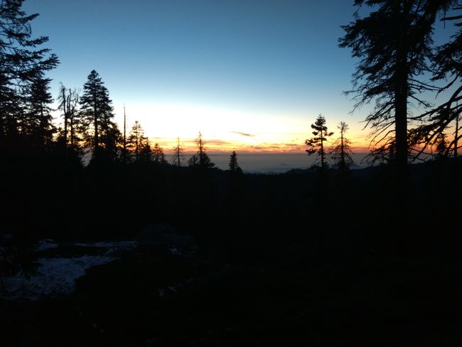 Sonnenuntergang Sequoia