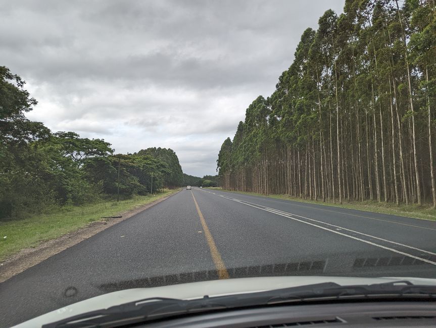 Hluhluwe-Nationalpark, iSimangaliso-Nationalpark und St. Lucia