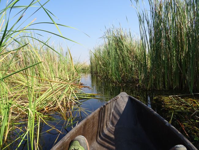 Okavangodelta, Botswana
