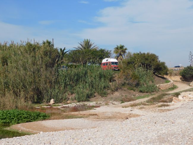 Camping El Masnou near Barcelona and next place to sleep