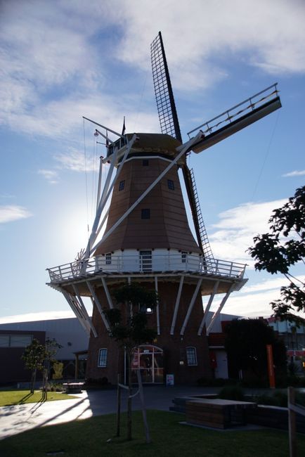 Windmühle in Foxton