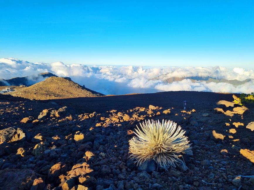 Hawaii 2022 - Part 3: Maui