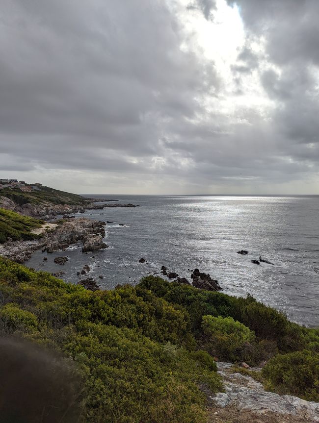 D'Oudtshoorn à Hermanus - avec un détour dans le 'Midwest'