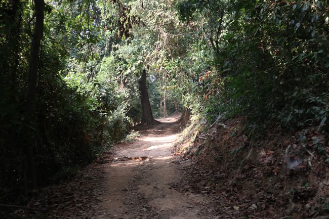 Der Fußweg hoch zu Bakheng.