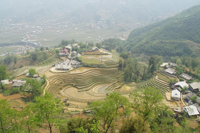 The rice terraces of Sa Pa