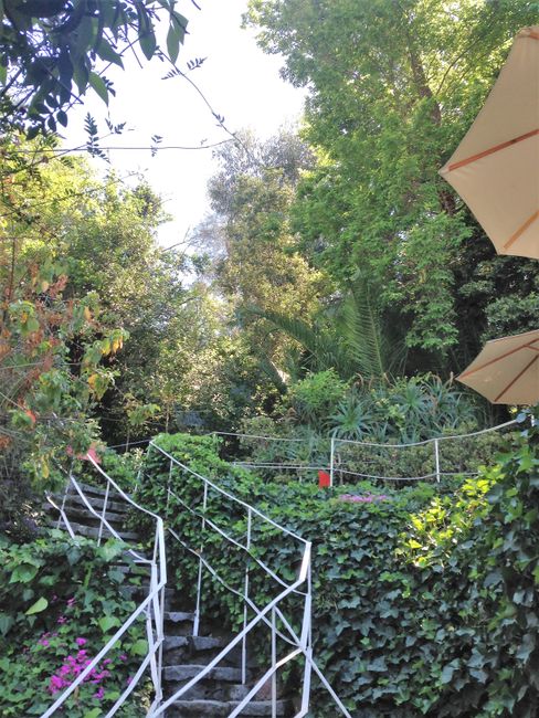 Garten von Nerudas Haus "La Chascona" nach Matildes Haarpracht