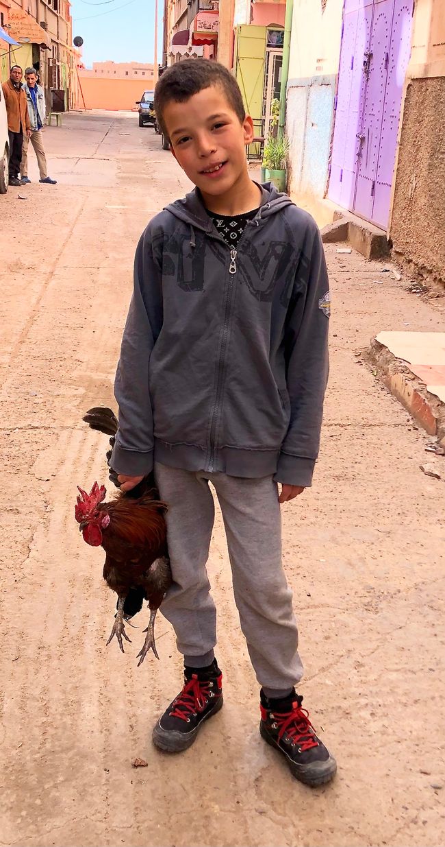 A rooster held by its wings - children learn that.