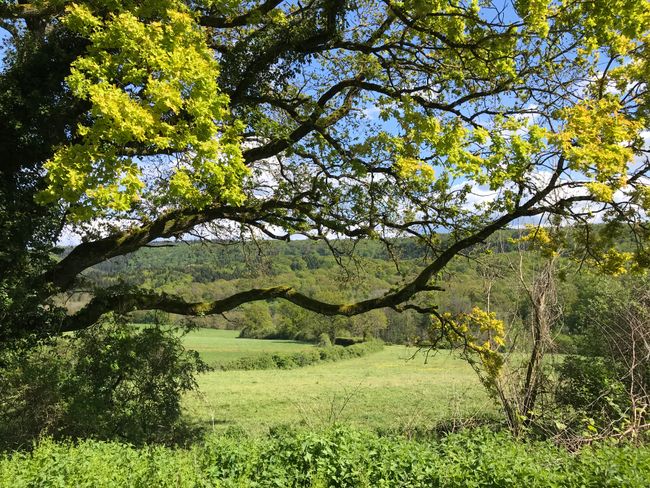 5. Mai/36. Tag: Abbaye d‘Acey - Offlanges