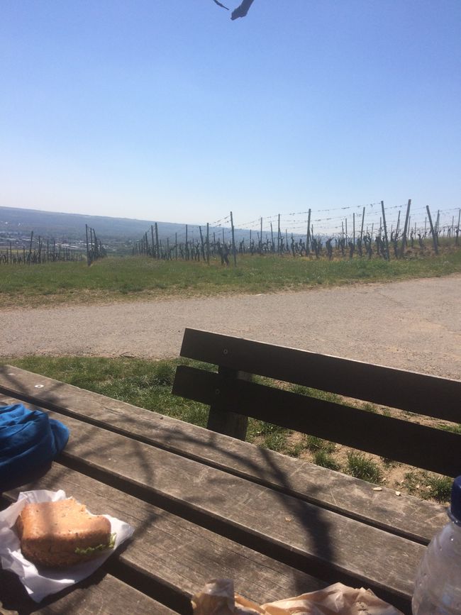 Lunch break with a view of the vineyards