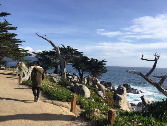 California: San Francisco to Monterey