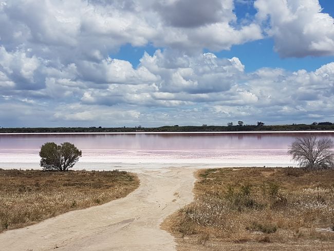 Pink Lake at Dimboola