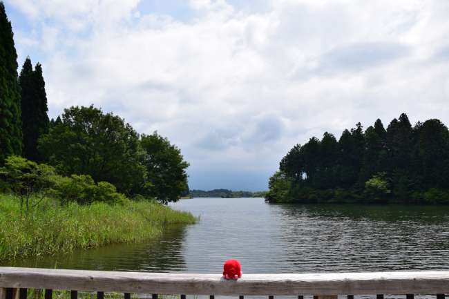 Der See Tanuki mit "Blick" auf den Fuji