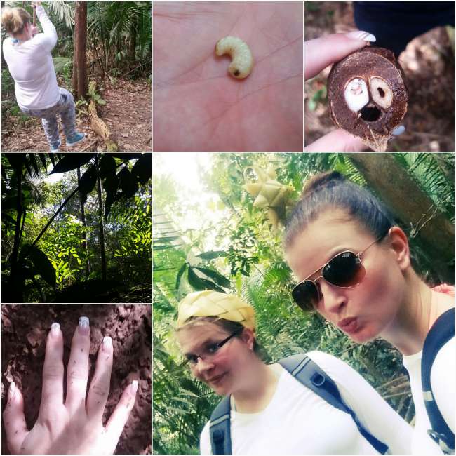 Amazonas Part 2: Jungle Camp 🐍