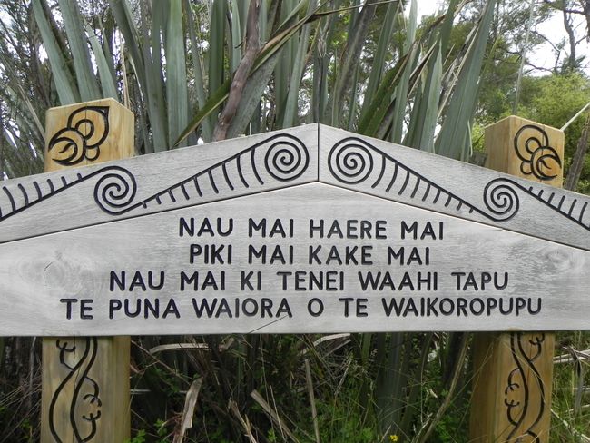 the Maori language is now being taught in New Zealand schools again. What could that mean?
