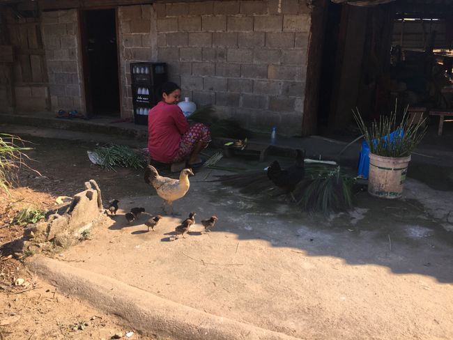 Chiang Rai Jour 5