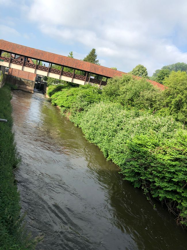 Weser Cycle Path (Jun. 2020)