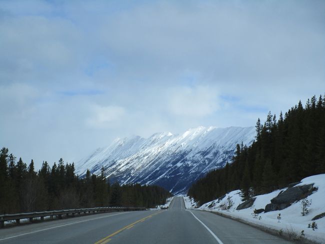 Icefield Parkway