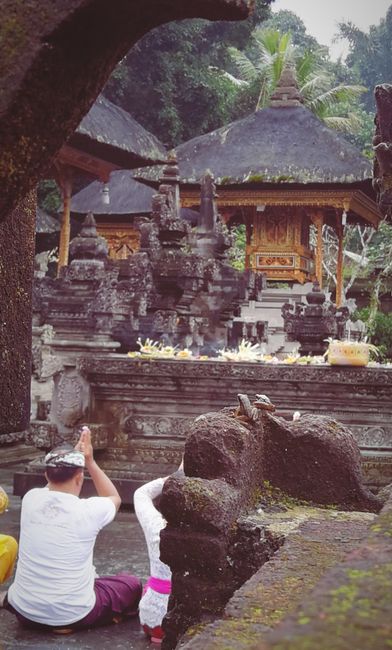 Bali Vibes in Canggu and Ubud