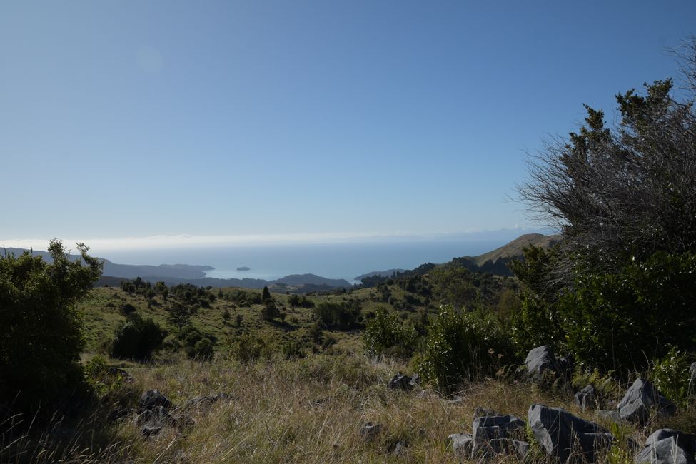 Blick vom Takaka Hill zum Abel Tasman NP
