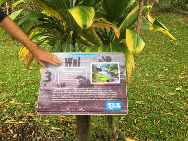 Wai, das hawaianische Wort für Wasser