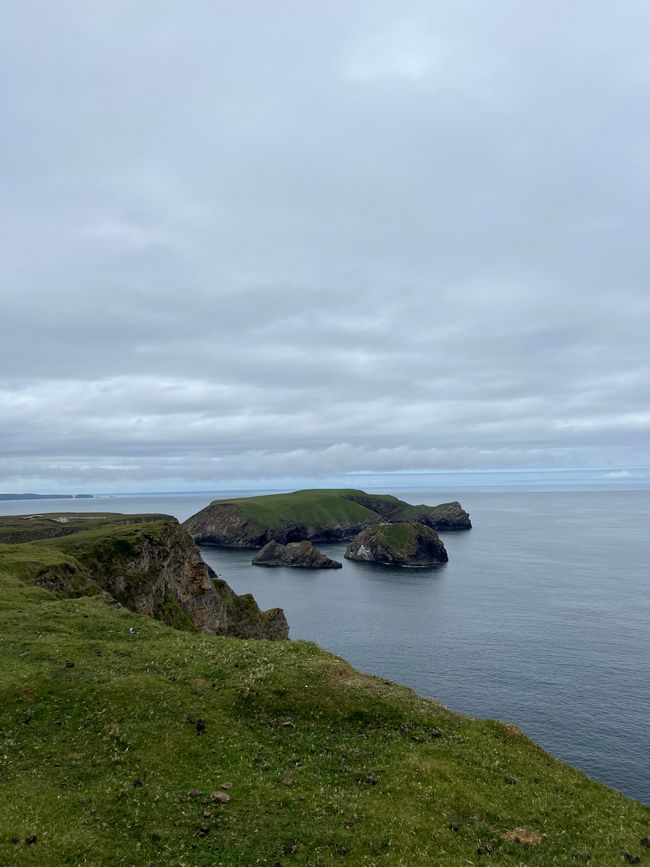 Beautiful landscape on the Irish coast 🌊😍💛
