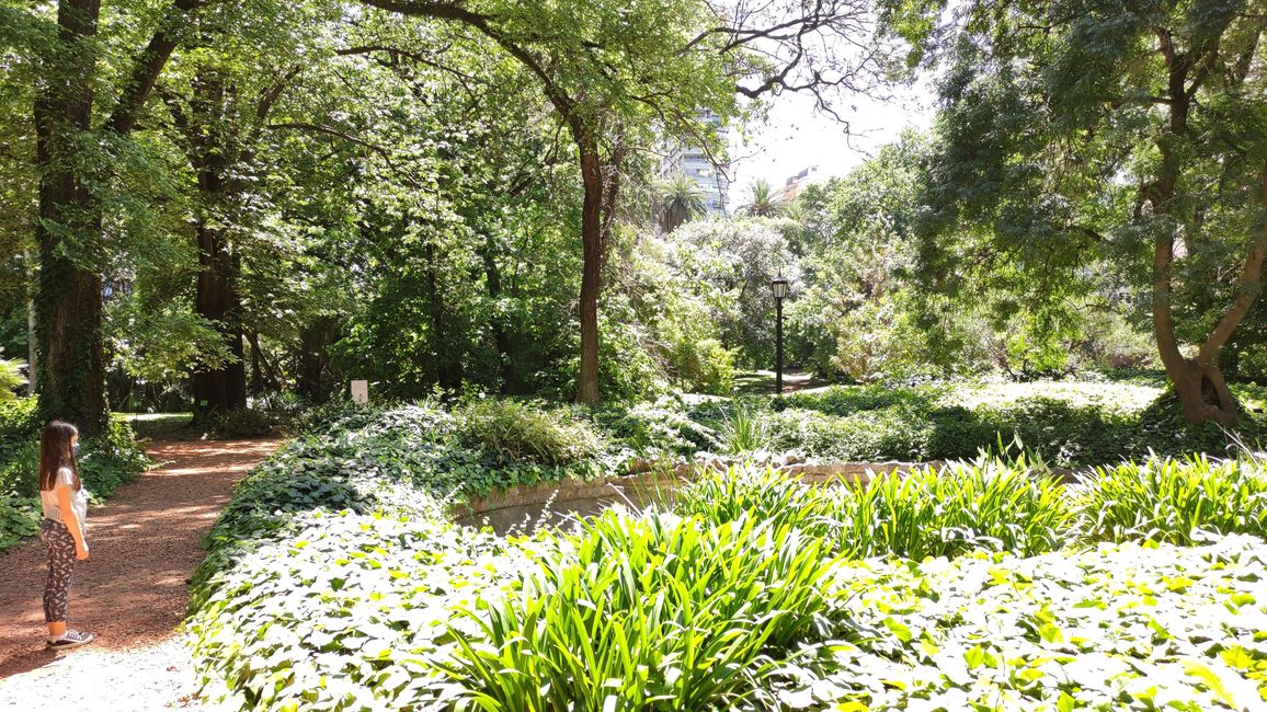 Botanical Garden (15.11.)
