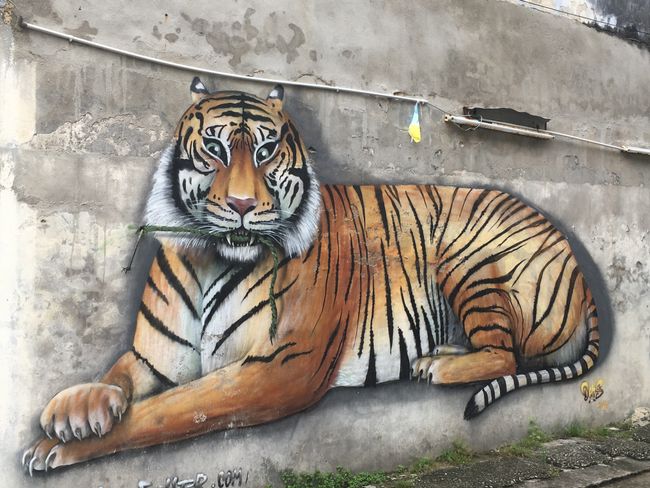 Georgetown, City of Street Art