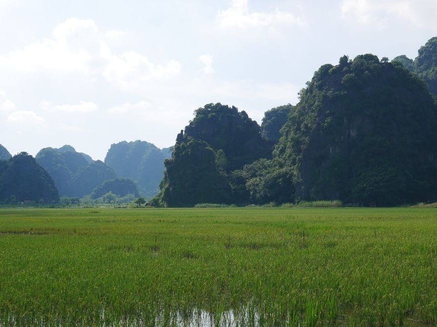 The landscape of Ninh Binh