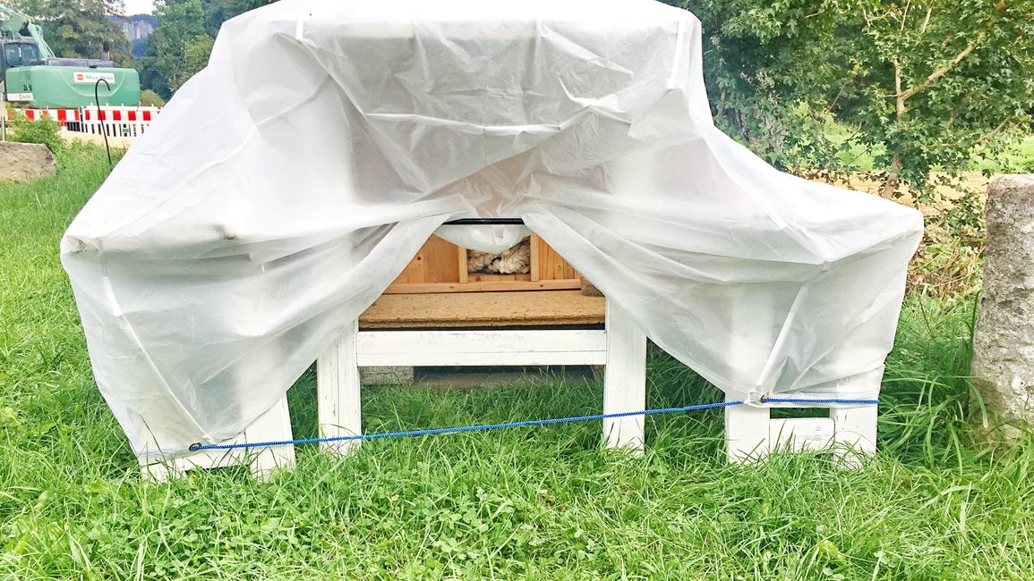 Cat box protected from heavy rain